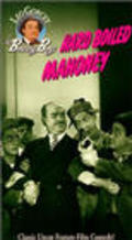 Movies Hard Boiled Mahoney poster