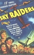 Movies Sky Raiders poster
