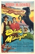 Movies Black Midnight poster