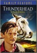 Movies Thunderhead - Son of Flicka poster