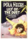 Movies Lily of the Dust poster