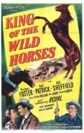 Movies King of the Wild Horses poster