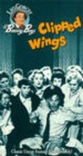 Movies Clipped Wings poster