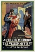 Movies The Veiled Mystery poster