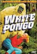 Movies White Pongo poster