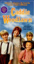 Movies Caddie Woodlawn poster
