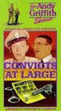 Movies Convicts at Large poster