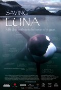 Movies Saving Luna poster