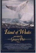 Movies Island of Whales poster