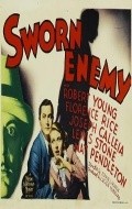 Movies Sworn Enemy poster