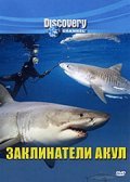 Movies Shark Tribe poster