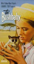 Movies The Bushbaby poster
