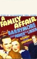 Movies A Family Affair poster