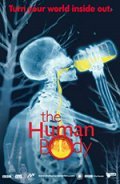 Movies The Human Body poster