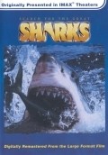 Movies Search for the Great Sharks poster