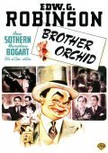 Movies Brother Orchid poster