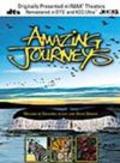 Movies Amazing Journeys poster