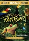 Movies Tropical Rainforest poster