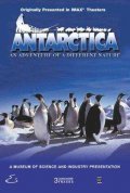 Movies Antarctica poster