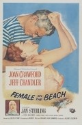 Movies Female on the Beach poster