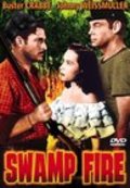 Movies Swamp Fire poster