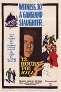 Movies Twelve Hours to Kill poster