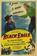 Movies Black Eagle poster