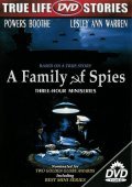 Movies Family of Spies poster