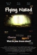 Movies Flying Naked poster