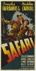 Movies Safari poster