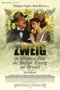 Movies Lost Zweig poster