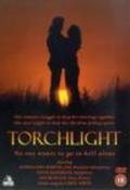 Movies Torchlight poster