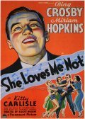 Movies She Loves Me Not poster