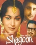 Movies Shagoon poster