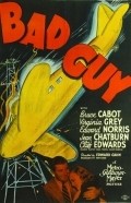 Movies Bad Guy poster