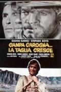 Movies Campa carogna... la taglia cresce poster