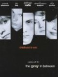 Movies The Gray in Between poster