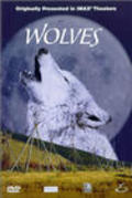 Movies Wolves poster