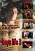 Movies Boys Life 3 poster