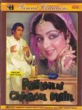 Movies Palkon Ki Chhaon Mein poster