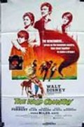 Movies The Wild Country poster