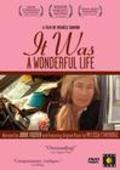 Movies It Was a Wonderful Life poster