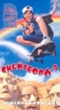 Movies The Skateboard Kid II poster