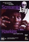Movies Screamin' Jay Hawkins: I Put a Spell on Me poster