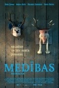 Movies Medibas poster