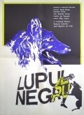 Movies Cerny vlk poster