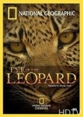 Movies Eye of the Leopard poster
