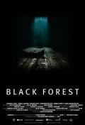 Movies Black Forest poster