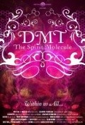 Movies DMT: The Spirit Molecule poster