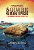 Movies Square Grouper poster